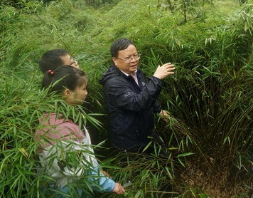 把论文写在竹林里的“农民”教授